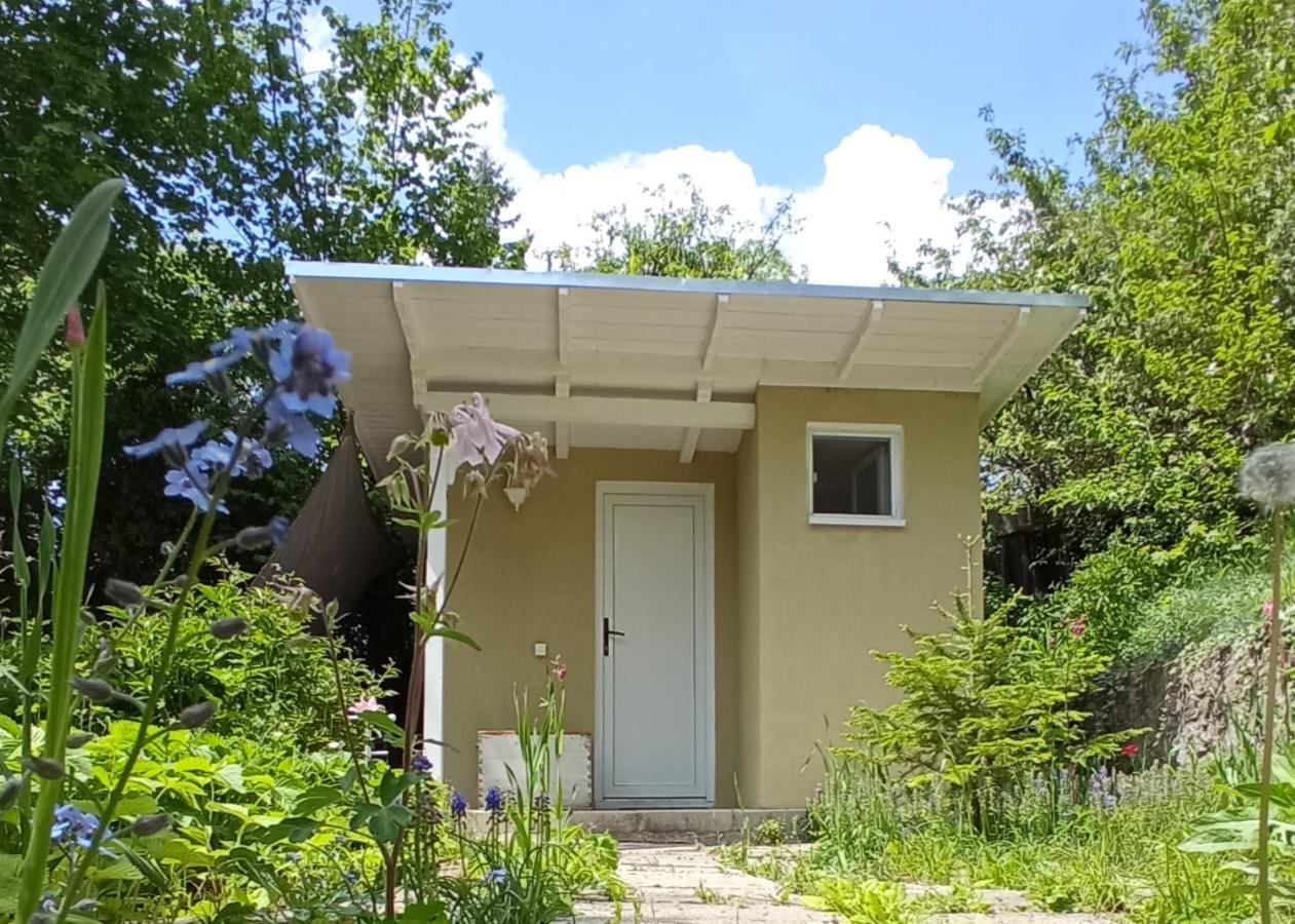 The Bungalow Μπρασόβ Εξωτερικό φωτογραφία