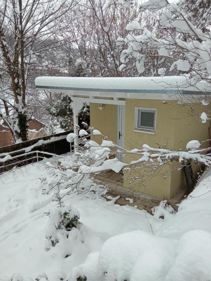 The Bungalow Μπρασόβ Εξωτερικό φωτογραφία