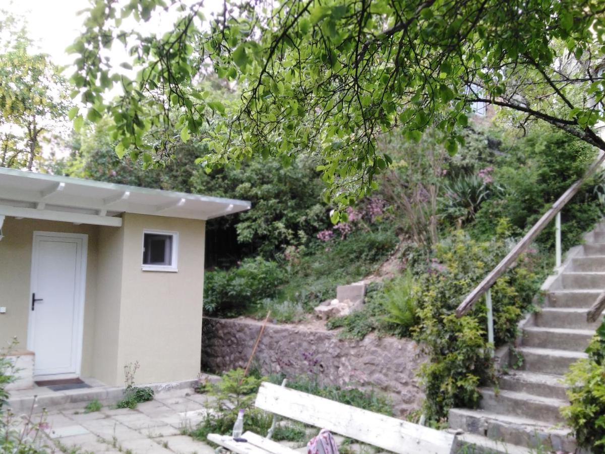 The Bungalow Μπρασόβ Εξωτερικό φωτογραφία